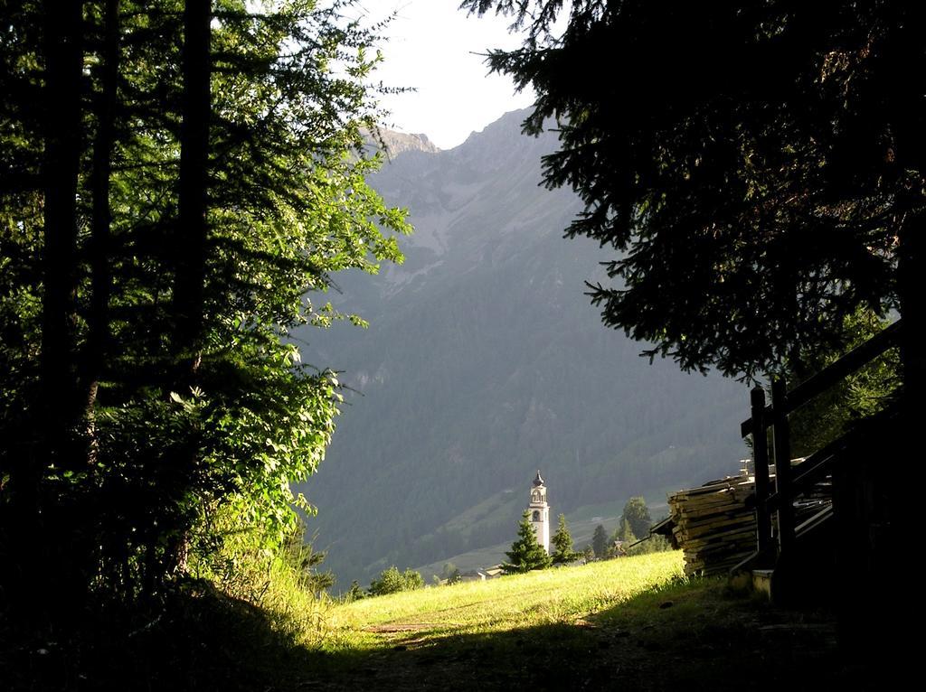 Residence Lo Peyo Champoluc Luaran gambar