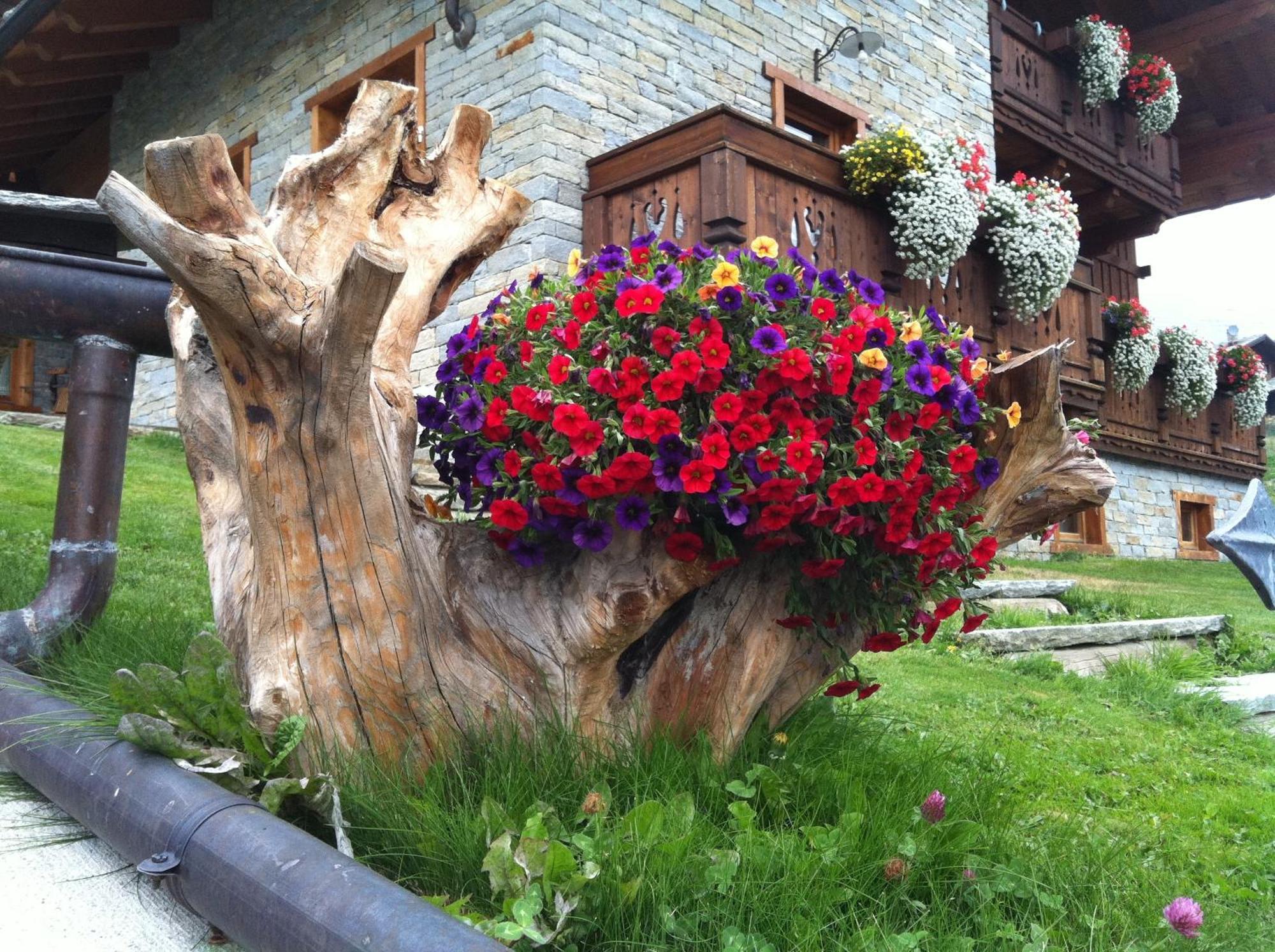 Residence Lo Peyo Champoluc Luaran gambar