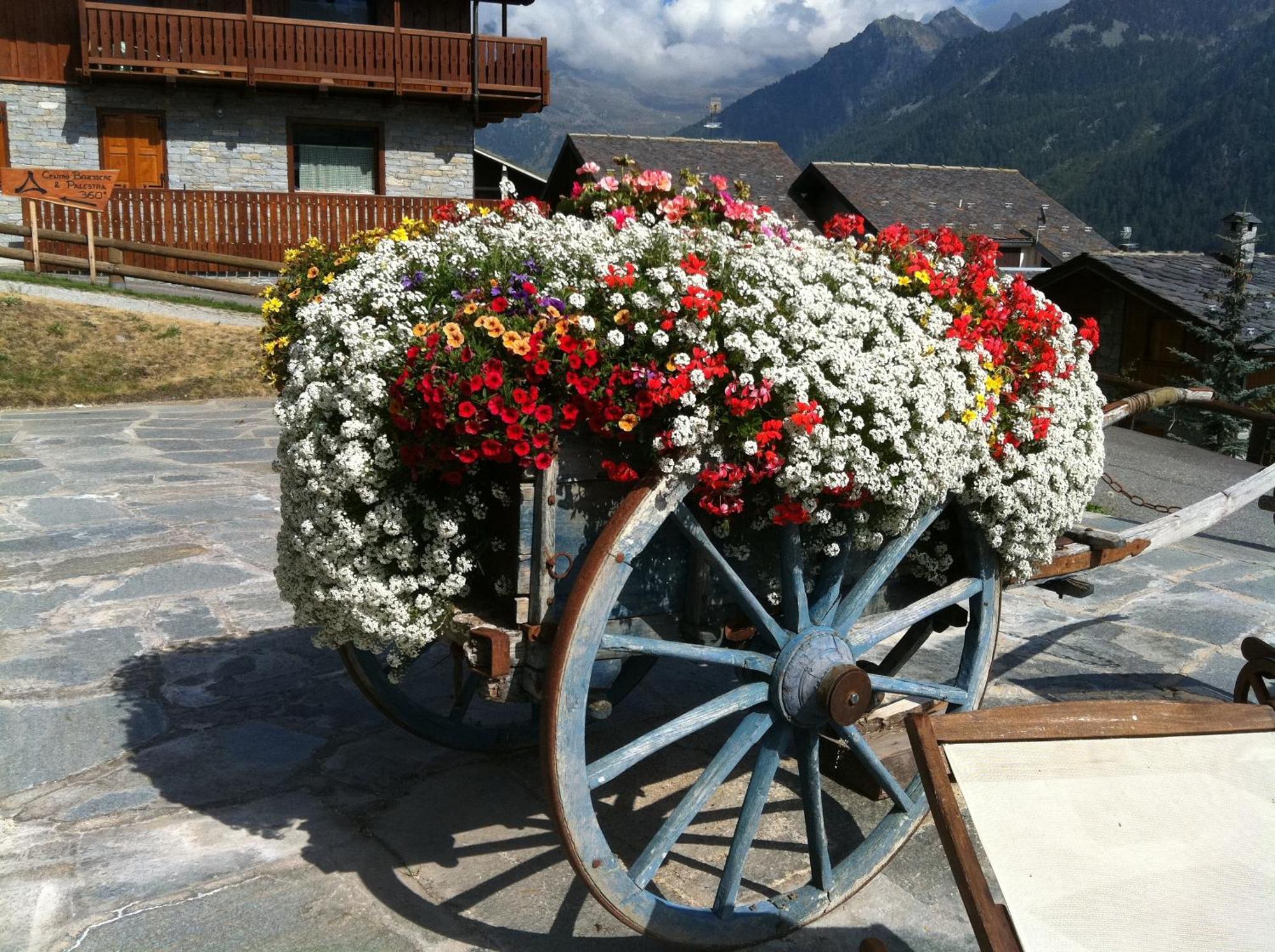 Residence Lo Peyo Champoluc Luaran gambar